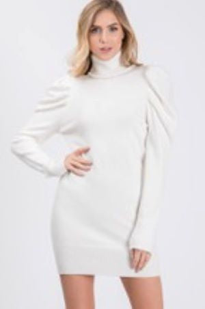 Fresh Snow Ruched Puff Embellished Sleeves