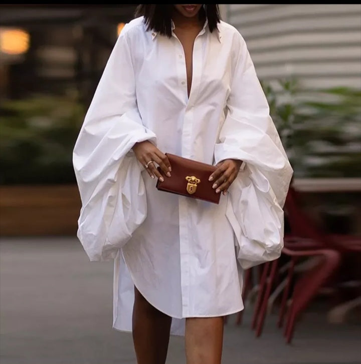 Oh so poetic shirt dress